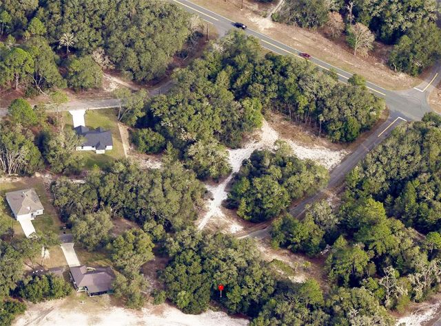 175 FISHER LN COURT, Ocklawaha, FL 32179