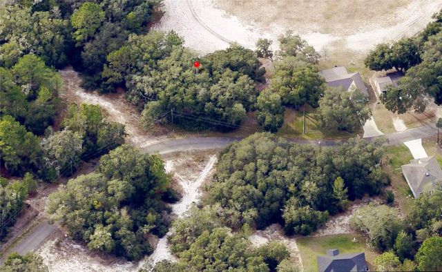 175 FISHER LN COURT, Ocklawaha, FL 32179