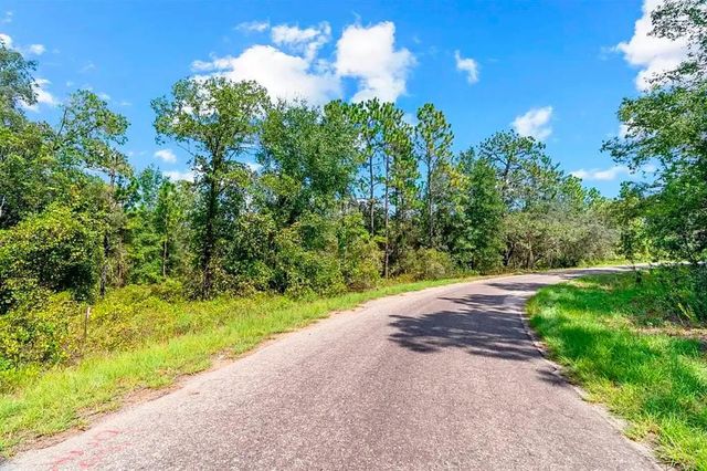 175 FISHER LN COURT, Ocklawaha, FL 32179