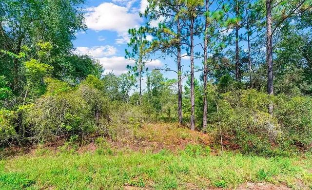175 FISHER LN COURT, Ocklawaha, FL 32179