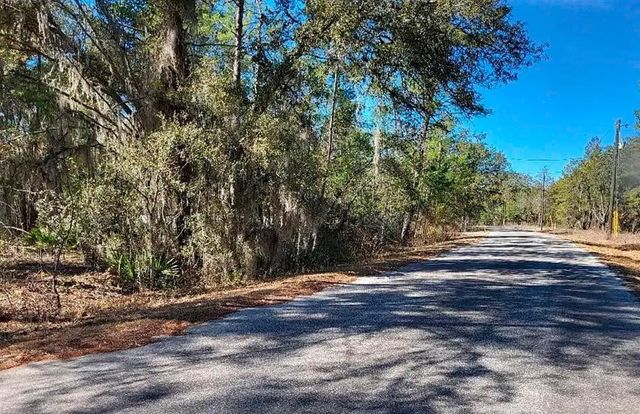 175 FISHER LN COURT, Ocklawaha, FL 32179