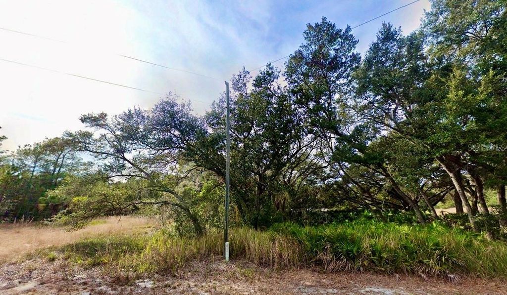 175 FISHER LN COURT, Ocklawaha, FL 32179