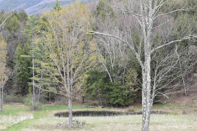 3259 West Hill Road, Wallingford, VT 05773