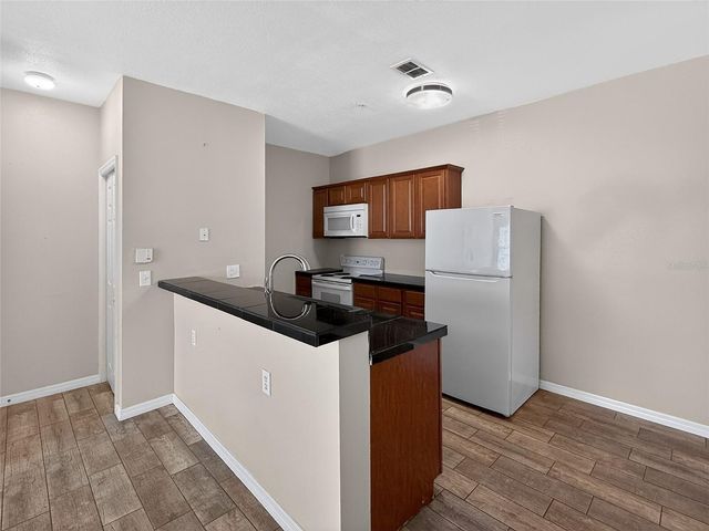 16305 ENCLAVE VILLAGE DRIVE 102, Tampa, FL 33647