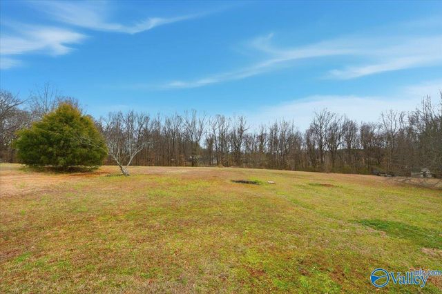 566 Henry Taylor Road, New Market, AL 35761