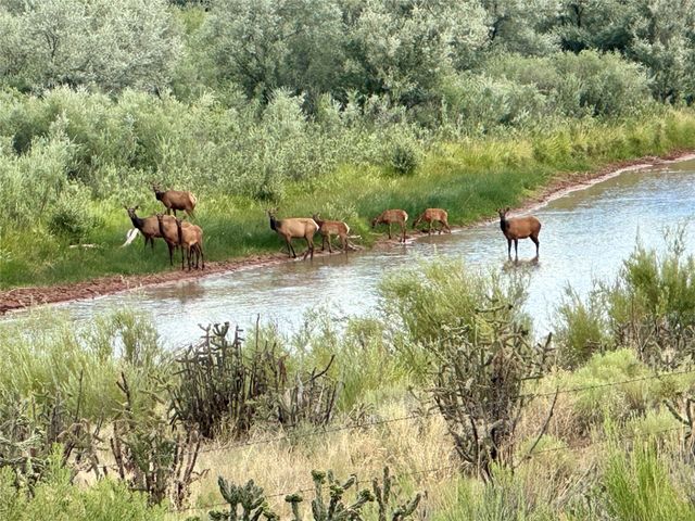Rancho de Abiquiu Estates, Abiquiu, NM 87510