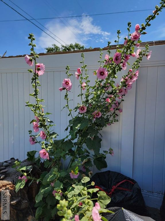 Image 26 of property listing at 605 10th Street, Idaho Falls, ID 83404