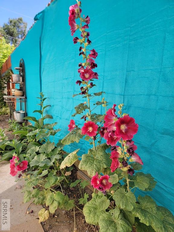 Image 30 of property listing at 605 10th Street, Idaho Falls, ID 83404