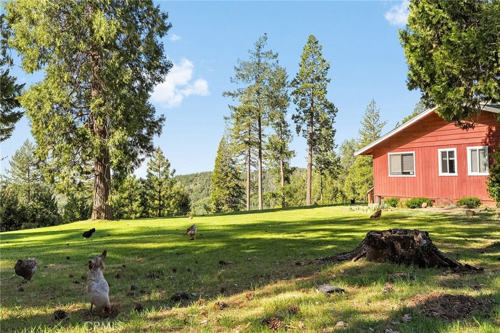 Image 42 of property listing at 15989 Katydid, Magalia, CA 95954