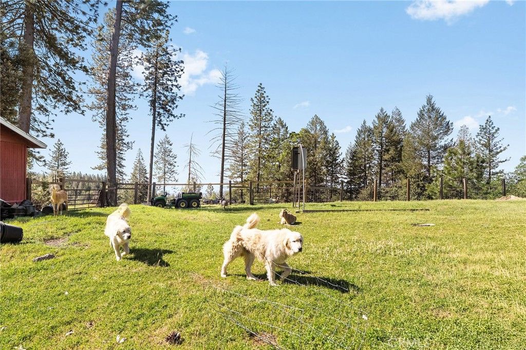 Image 48 of property listing at 15989 Katydid, Magalia, CA 95954