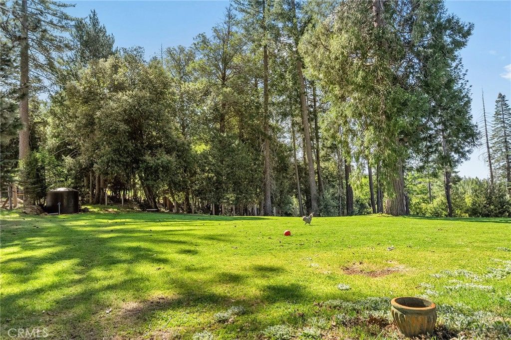 Image 52 of property listing at 15989 Katydid, Magalia, CA 95954