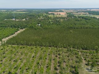 8 Bud Diamond Rd, Jay, FL 32565