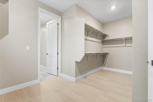 11293 Tenor Trail, Lone Tree, CO 80134