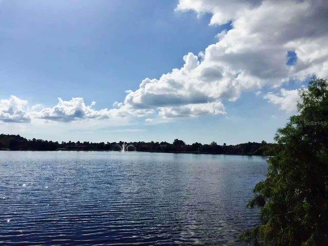 9020 LAKE CHASE ISLAND WAY 9020, Tampa, FL 33626
