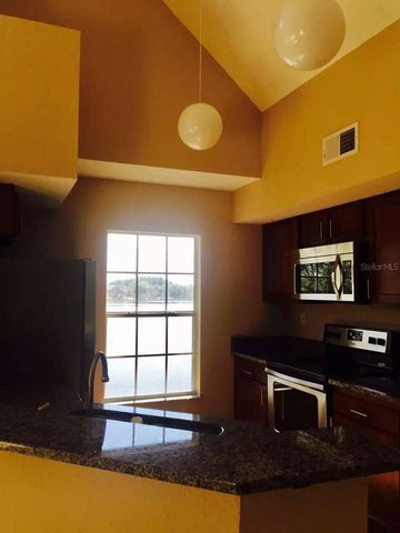 9020 LAKE CHASE ISLAND WAY 9020, Tampa, FL 33626
