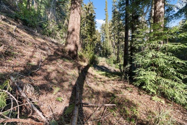 160 Starview Place, Boulder Creek, CA 95006