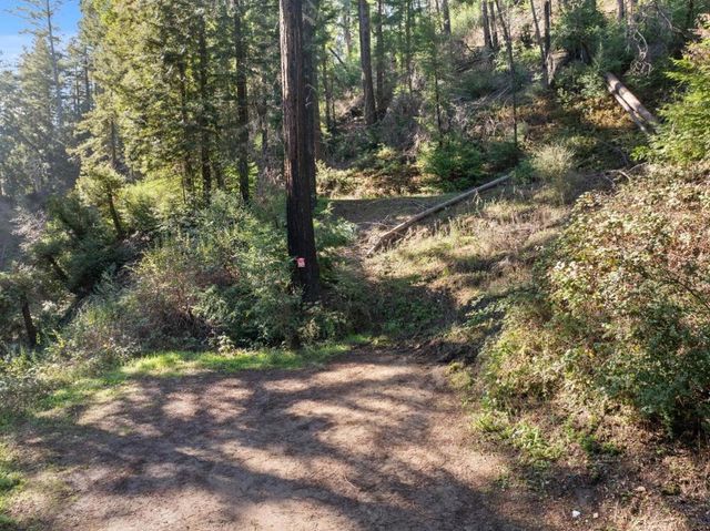 160 Starview Place, Boulder Creek, CA 95006