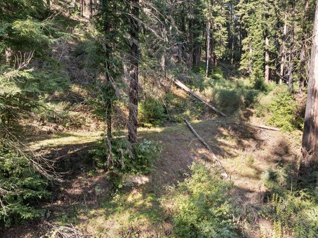 160 Starview Place, Boulder Creek, CA 95006