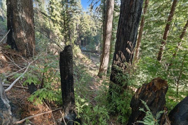 160 Starview Place, Boulder Creek, CA 95006