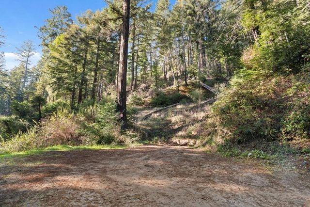 160 Starview Place, Boulder Creek, CA 95006
