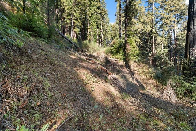 160 Starview Place, Boulder Creek, CA 95006
