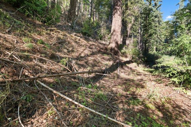 160 Starview Place, Boulder Creek, CA 95006