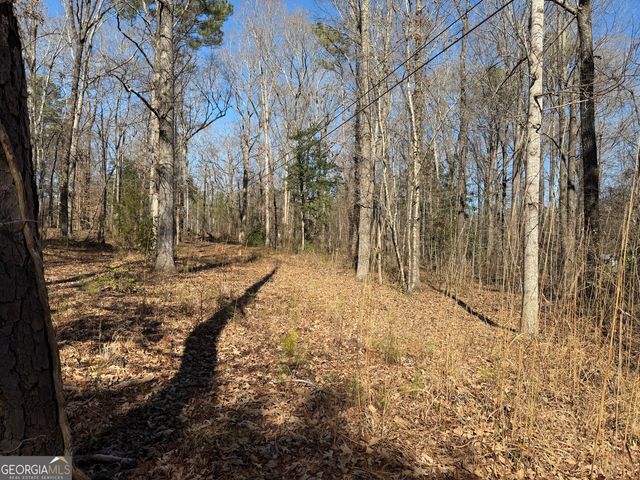 5960 Old Zebulon Road, Concord, GA 30206