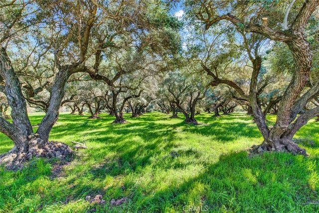 23580 LOLETA, Corning, CA 96021