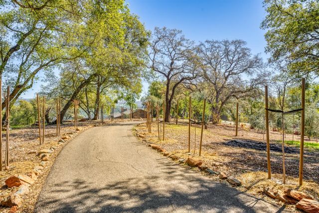 5161 Coyote Pass Rd, Shingle Springs, CA 95682