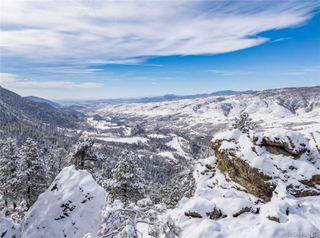 9316 Tawny Lynx Road, Loveland, CO 80538