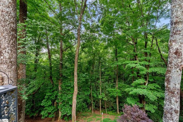 110 Panther Mountain Road, Zirconia, NC 28790