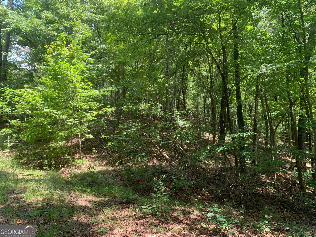 0 Grant Smith, Summit Ridge, Etc., Toccoa, GA 30577 — photo 4