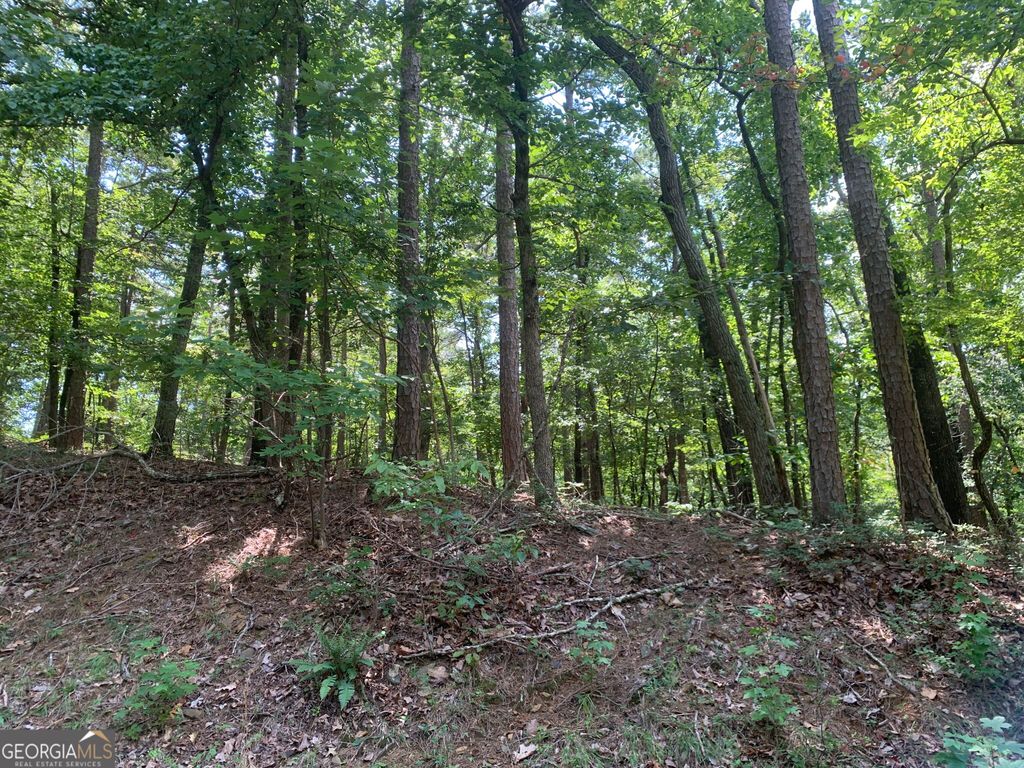 0 Grant Smith, Summit Ridge, Etc., Toccoa, GA 30577 — photo 5