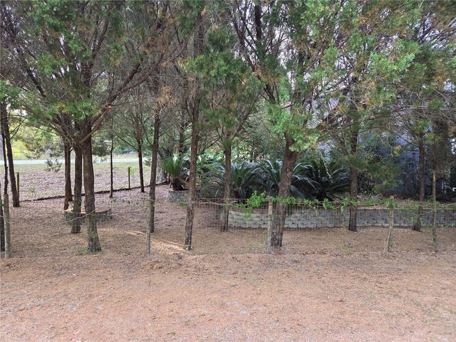 421 MARGARET STREET, Bronson, FL 32621