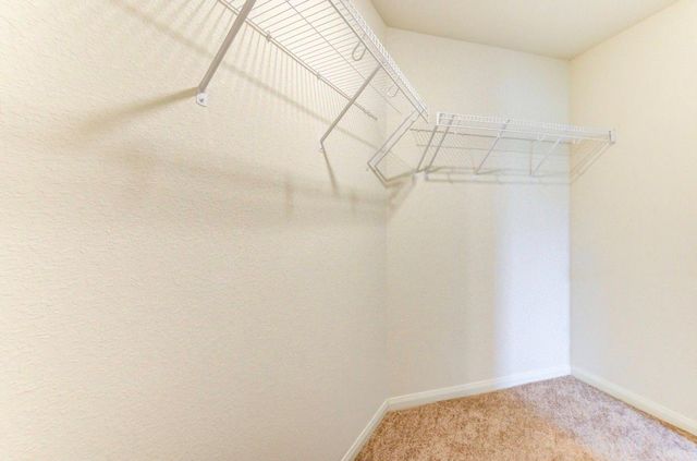 24009 Wilde Drive, Magnolia, TX 77355