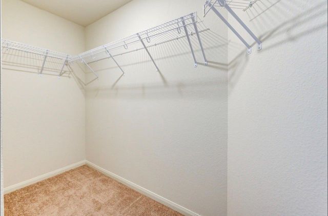 24009 Wilde Drive, Magnolia, TX 77355