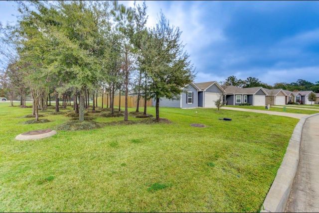 24009 Wilde Drive, Magnolia, TX 77355