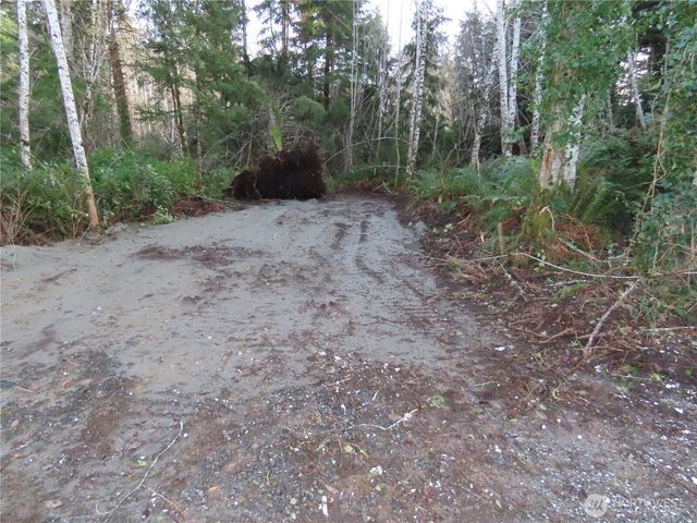 0 Oregon Lane, Ocosta, WA 98520