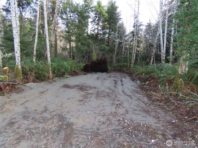 0 Oregon Lane, Ocosta, WA 98520