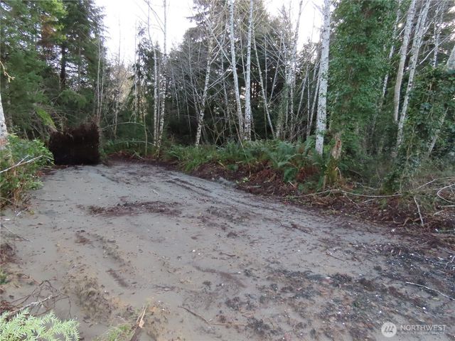 0 Oregon Lane, Ocosta, WA 98520