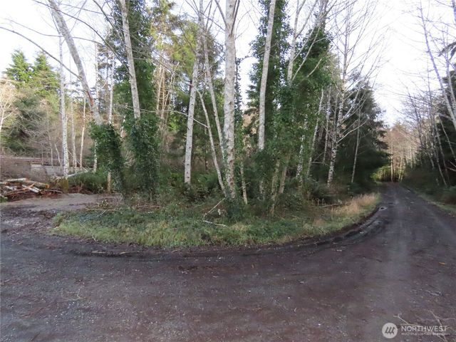 0 Oregon Lane, Ocosta, WA 98520