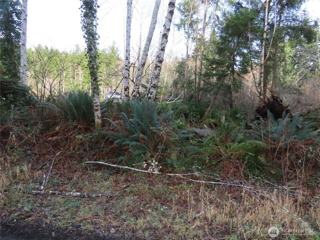 0 Oregon Lane, Ocosta, WA 98520