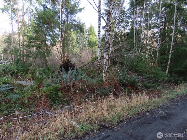 0 Oregon Lane, Ocosta, WA 98520
