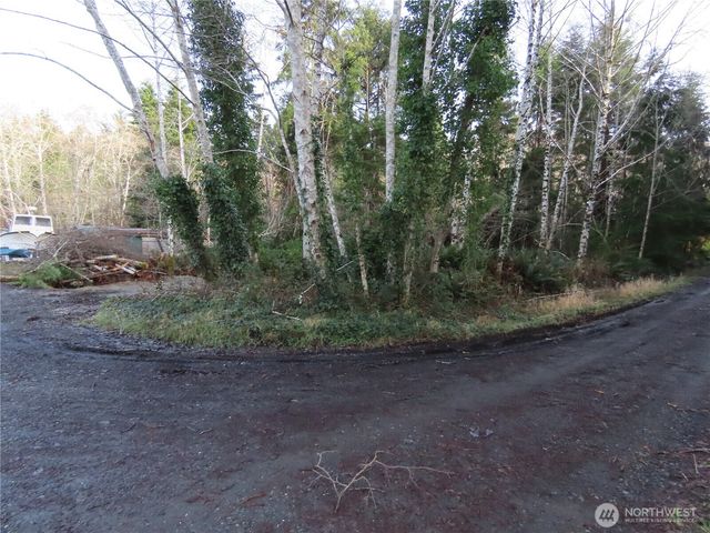0 Oregon Lane, Ocosta, WA 98520