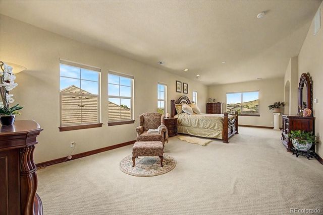 10492 Rivington Court, Lone Tree, CO 80124