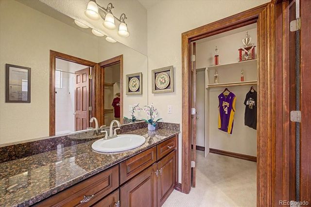 10492 Rivington Court, Lone Tree, CO 80124