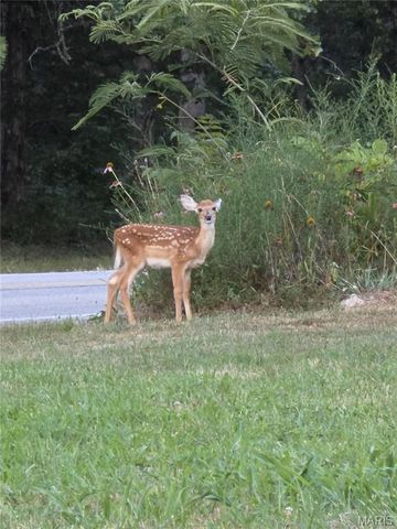 13311 State Route H, St James, MO 65559