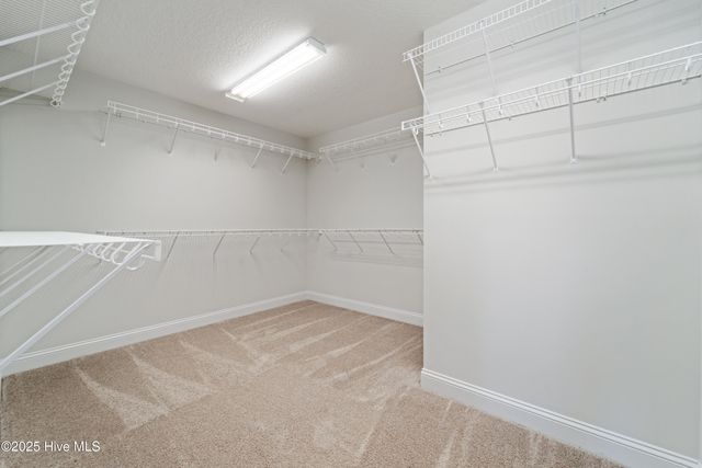 354 Water Wagon Trail, Jacksonville, NC 28546