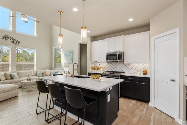 17814 Tree Of Heaven, Conroe, TX 77385