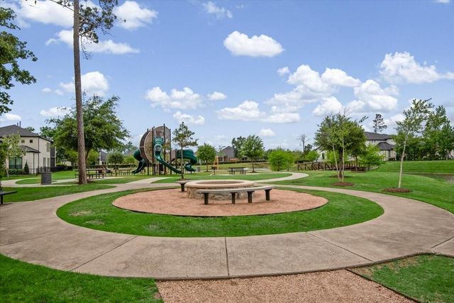 17814 Tree Of Heaven, Conroe, TX 77385